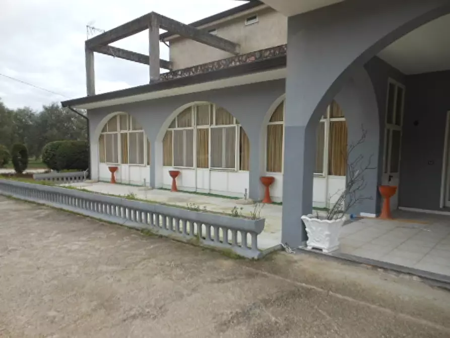 Immagine 16 di Pizzeria / Pub in affitto  in SP 26 a Presenzano