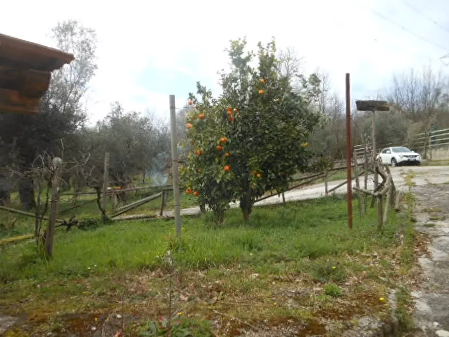 Immagine 22 di Casa indipendente in vendita  a Conca Della Campania