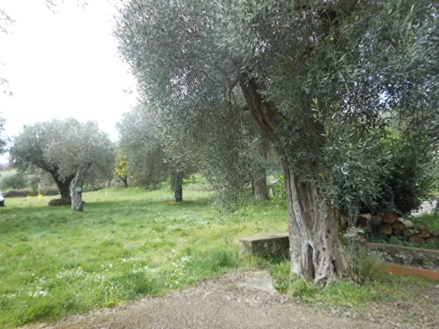 Immagine 31 di Casa indipendente in vendita  a Conca Della Campania