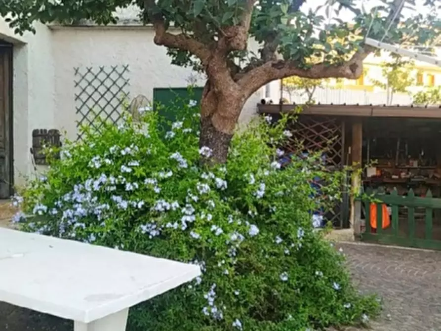 Immagine 38 di Casa indipendente in vendita  a Piedimonte Matese