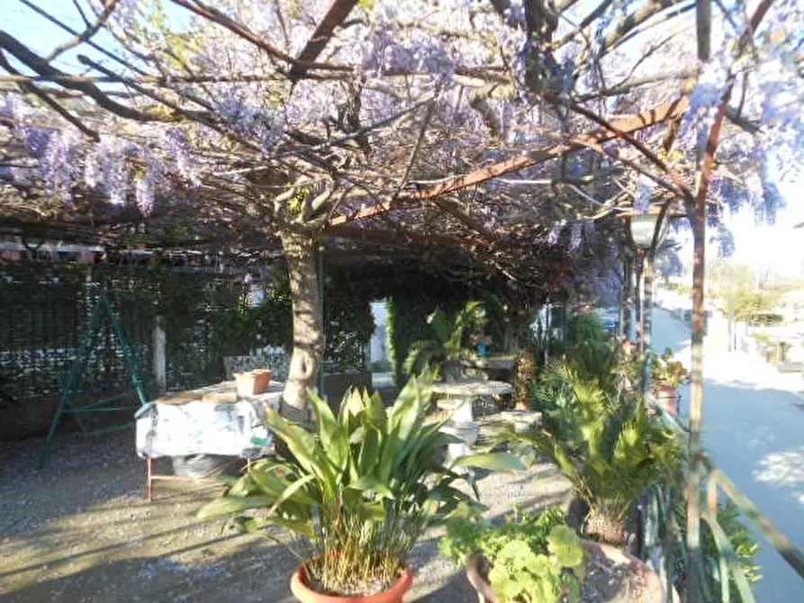 Immagine 17 di Porzione di casa in vendita  a Presenzano