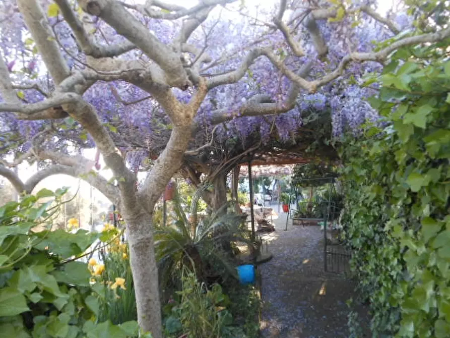 Immagine 18 di Porzione di casa in vendita  a Presenzano