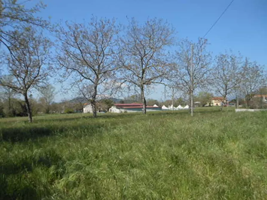 Immagine 4 di Rustico / casale in vendita  a Roccaromana