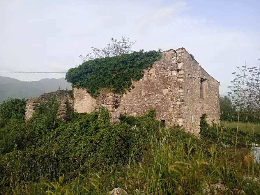 Immagine 4 di Terreno agricolo in vendita  a Alife