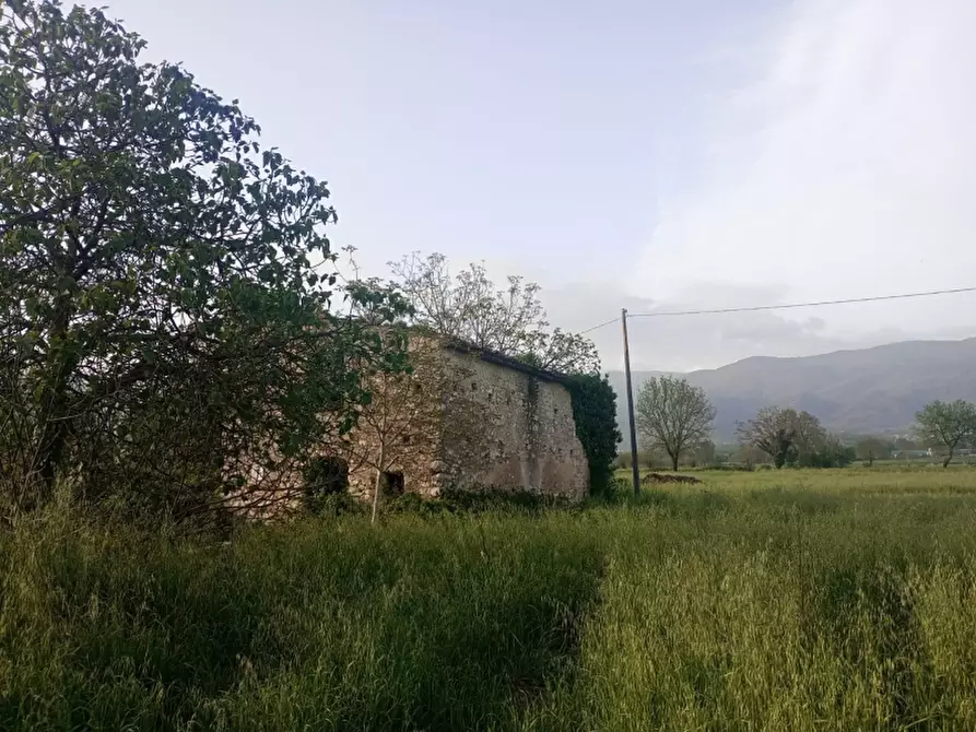 Immagine 5 di Terreno agricolo in vendita  a Alife