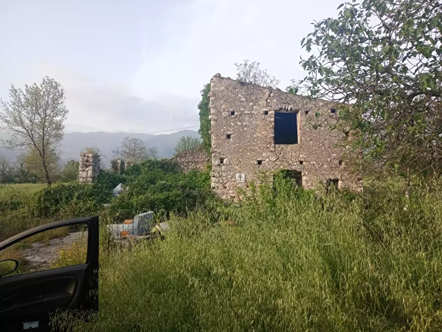 Immagine 1 di Terreno agricolo in vendita  a Alife