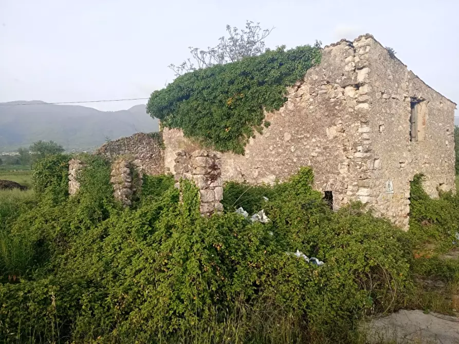 Immagine 6 di Terreno agricolo in vendita  a Alife