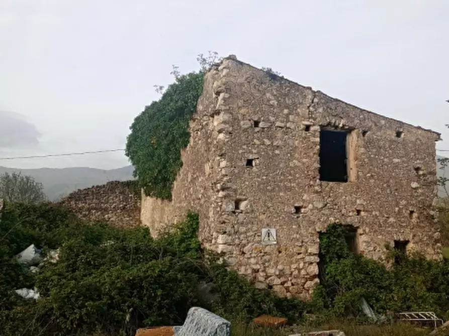 Immagine 7 di Terreno agricolo in vendita  a Alife