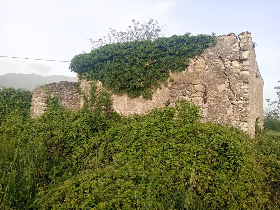 Immagine 8 di Terreno agricolo in vendita  a Alife