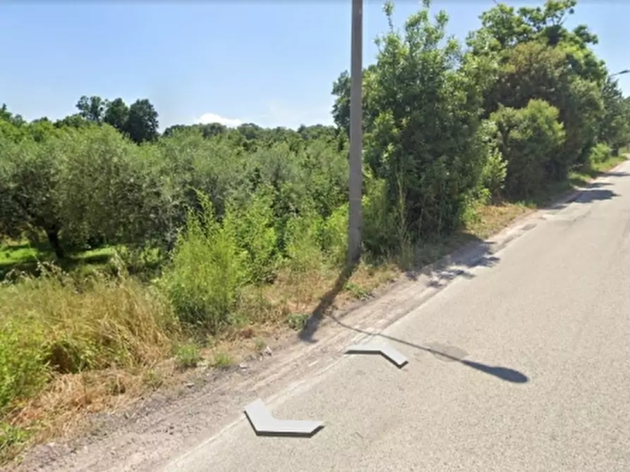 Immagine 3 di Terreno industriale in vendita  in SP 85 a Caianello