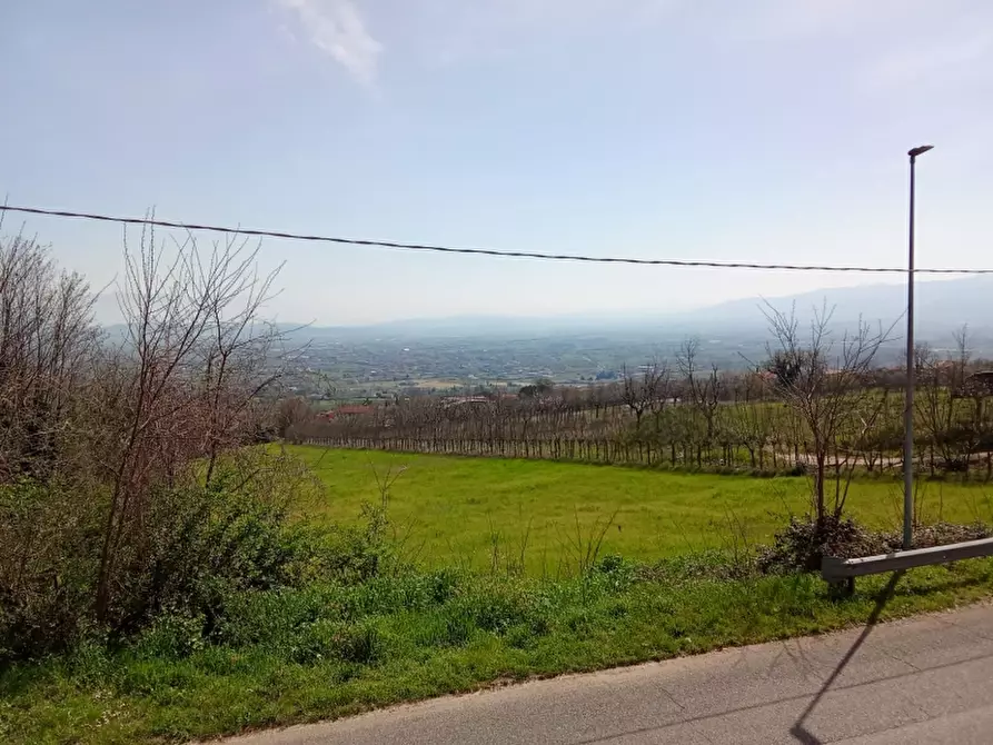 Immagine 15 di Casa indipendente in vendita  in SP 149 a Alife