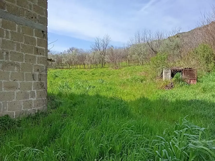 Immagine 6 di Casa indipendente in vendita  in SP 149 a Alife