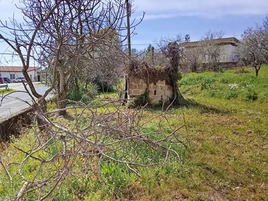 Immagine 7 di Casa indipendente in vendita  in SP 149 a Alife