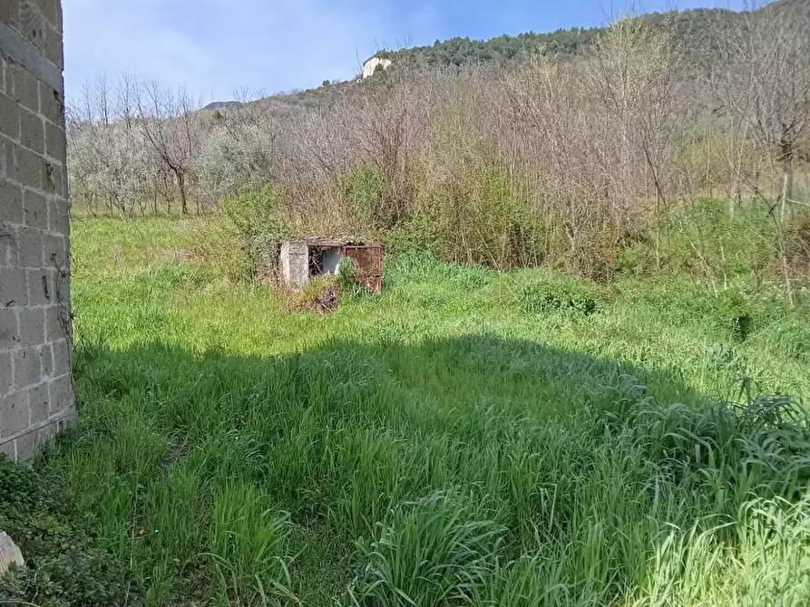 Immagine 12 di Casa indipendente in vendita  in SP 149 a Alife