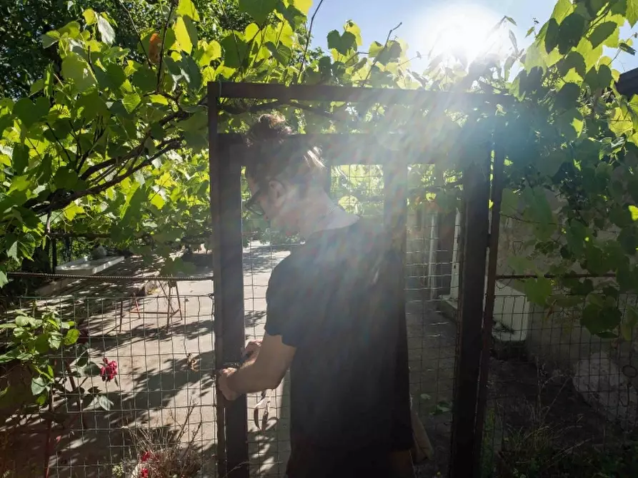 Immagine 10 di Casa indipendente in vendita  a San Gregorio Matese