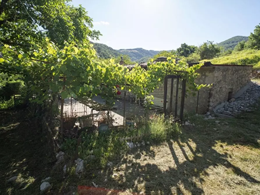 Immagine 9 di Casa indipendente in vendita  a San Gregorio Matese
