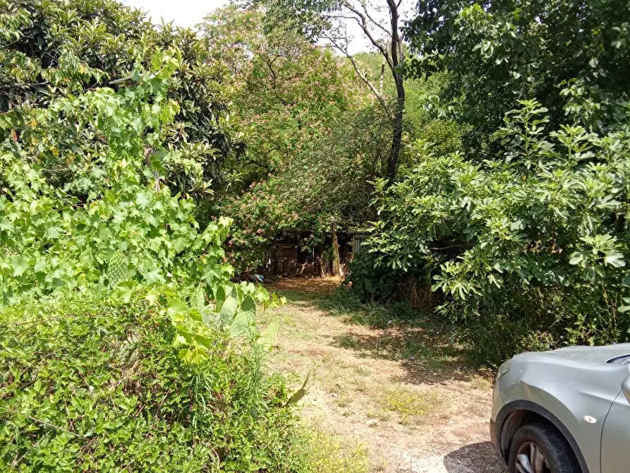 Immagine 28 di Villa in vendita  a Dragoni