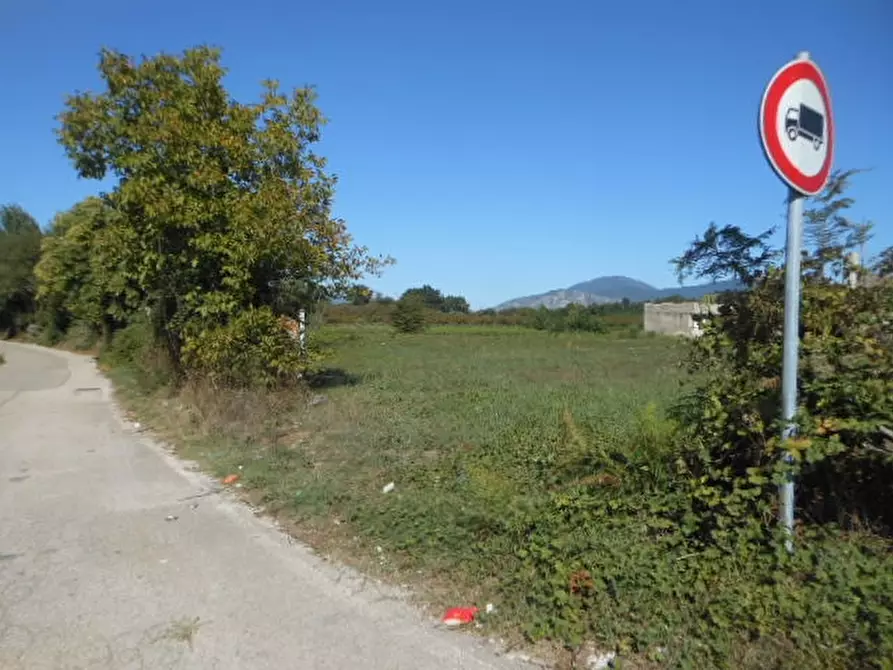 Immagine 5 di Terreno industriale in vendita  in VIA MONTANO a Caianello