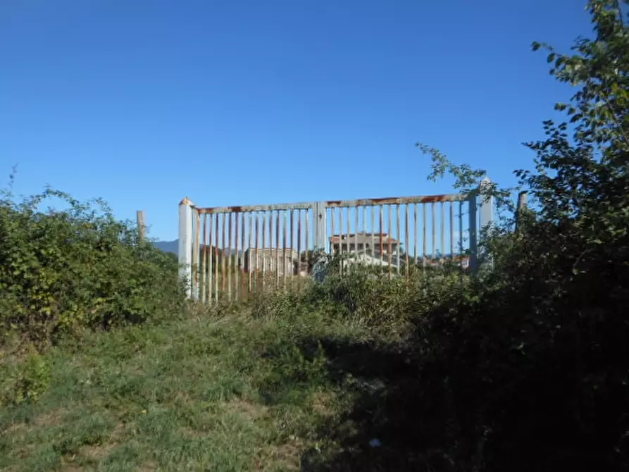 Immagine 6 di Terreno industriale in vendita  in VIA MONTANO a Caianello