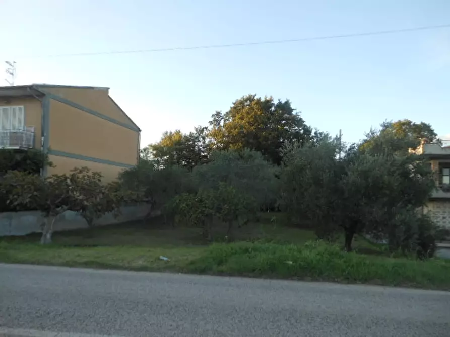 Immagine 2 di Terreno industriale in vendita  a Caianello