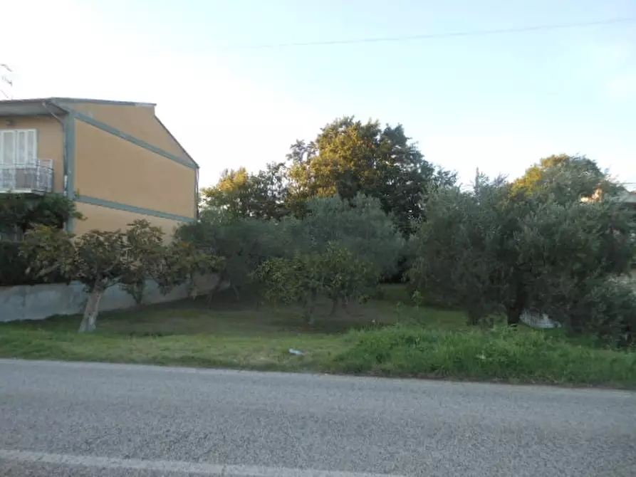 Immagine 3 di Terreno industriale in vendita  a Caianello