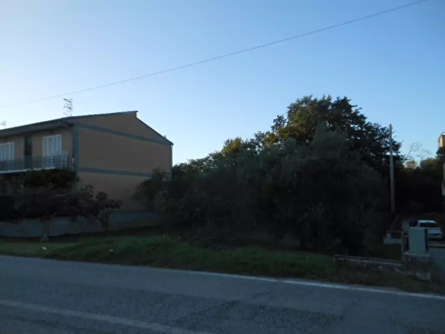 Immagine 4 di Terreno industriale in vendita  a Caianello