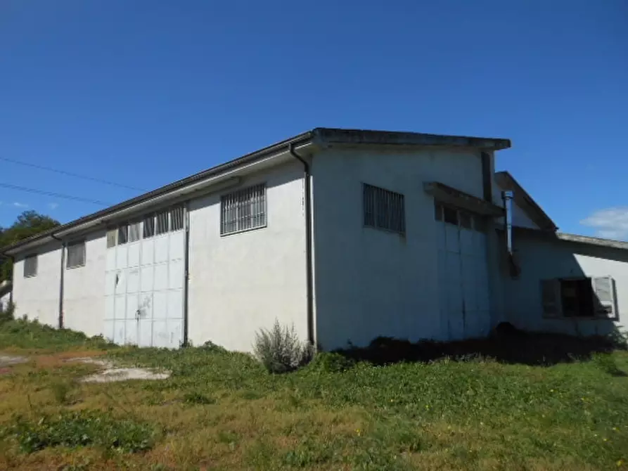 Immagine 1 di Capannone industriale in vendita  a Marzano Appio