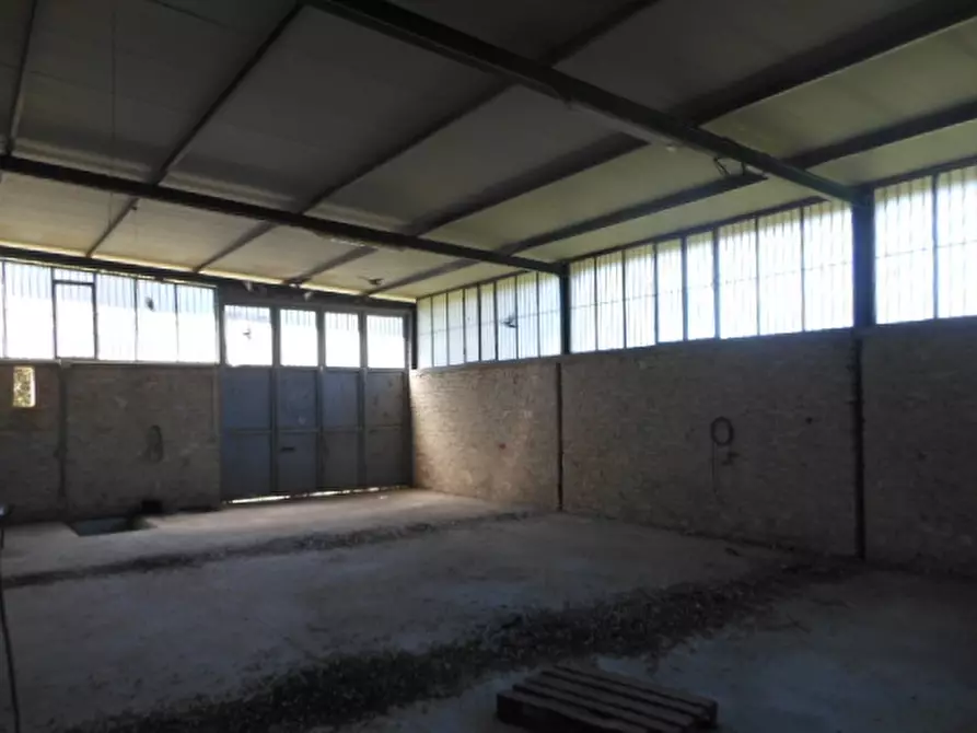 Immagine 5 di Capannone industriale in vendita  a Marzano Appio