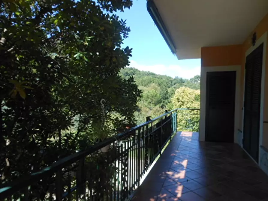 Immagine 22 di Villa in vendita  a Marzano Appio