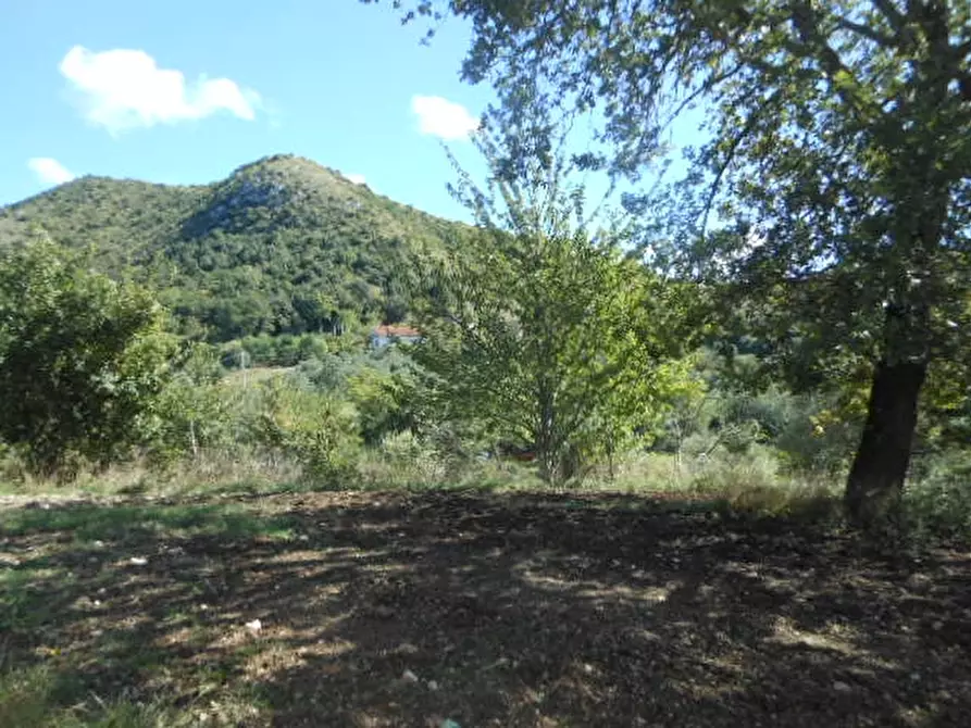 Immagine 15 di Villa in vendita  a Pietravairano