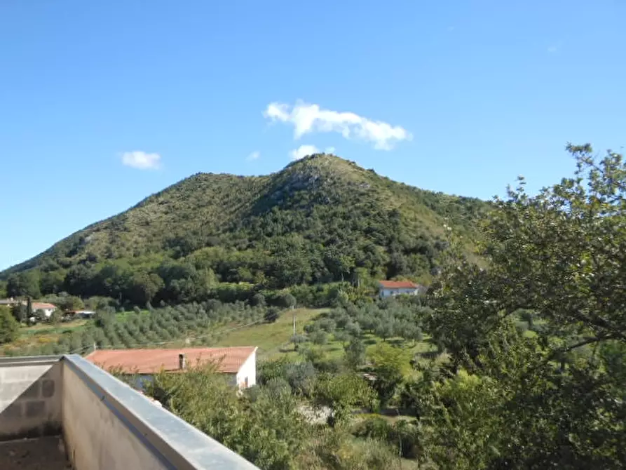 Immagine 16 di Villa in vendita  a Pietravairano