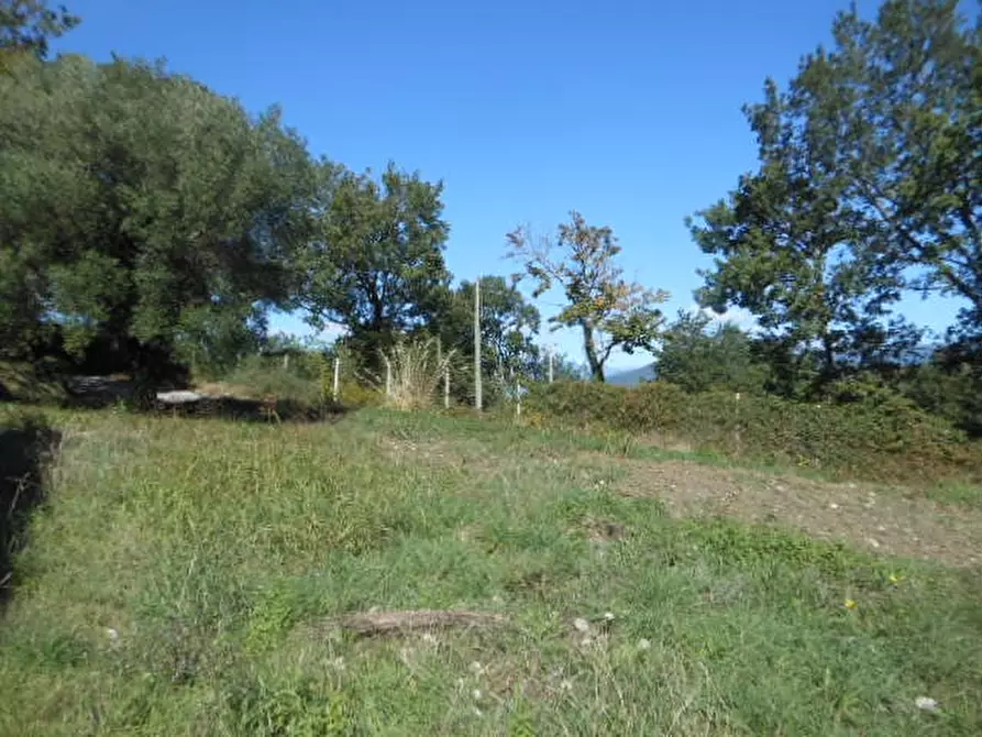 Immagine 20 di Villa in vendita  a Pietravairano