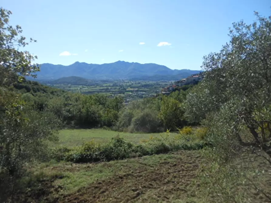 Immagine 4 di Villa in vendita  a Pietravairano