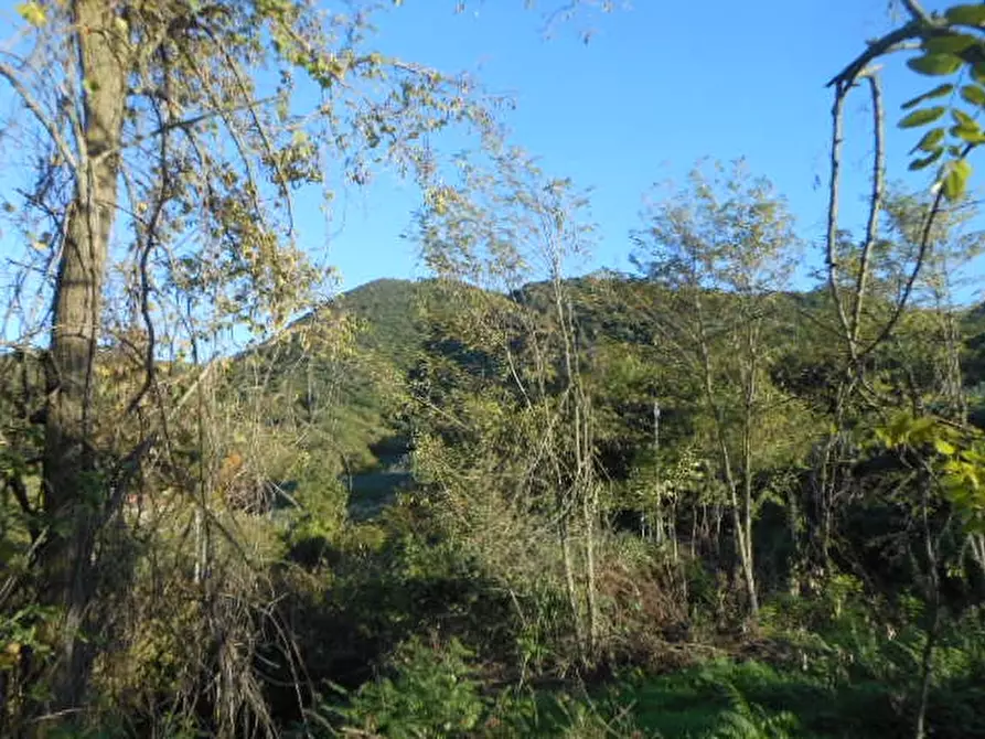 Immagine 5 di Casa indipendente in vendita  a Rocchetta E Croce