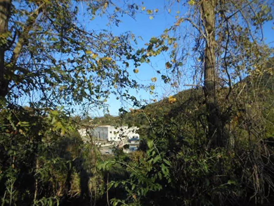 Immagine 6 di Casa indipendente in vendita  a Rocchetta E Croce