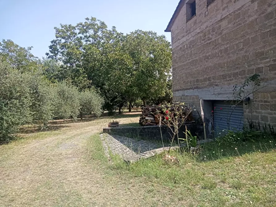 Immagine 2 di Casa indipendente in vendita  a Caianello