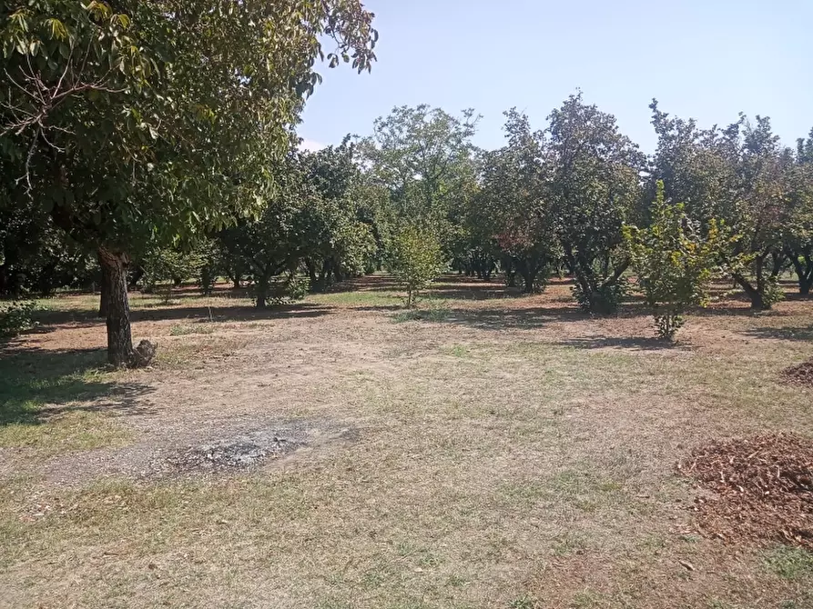 Immagine 14 di Casa indipendente in vendita  a Caianello