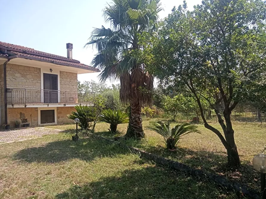 Immagine 3 di Casa indipendente in vendita  a Caianello