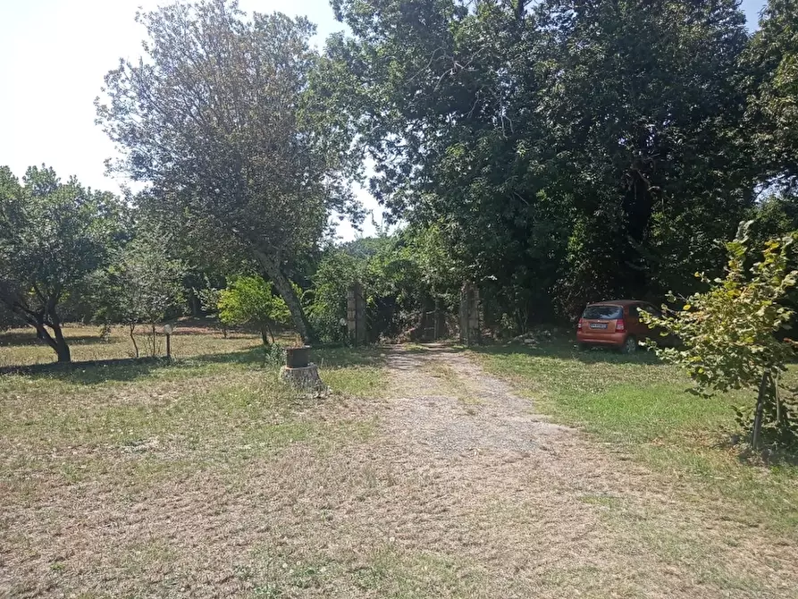 Immagine 33 di Casa indipendente in vendita  a Caianello