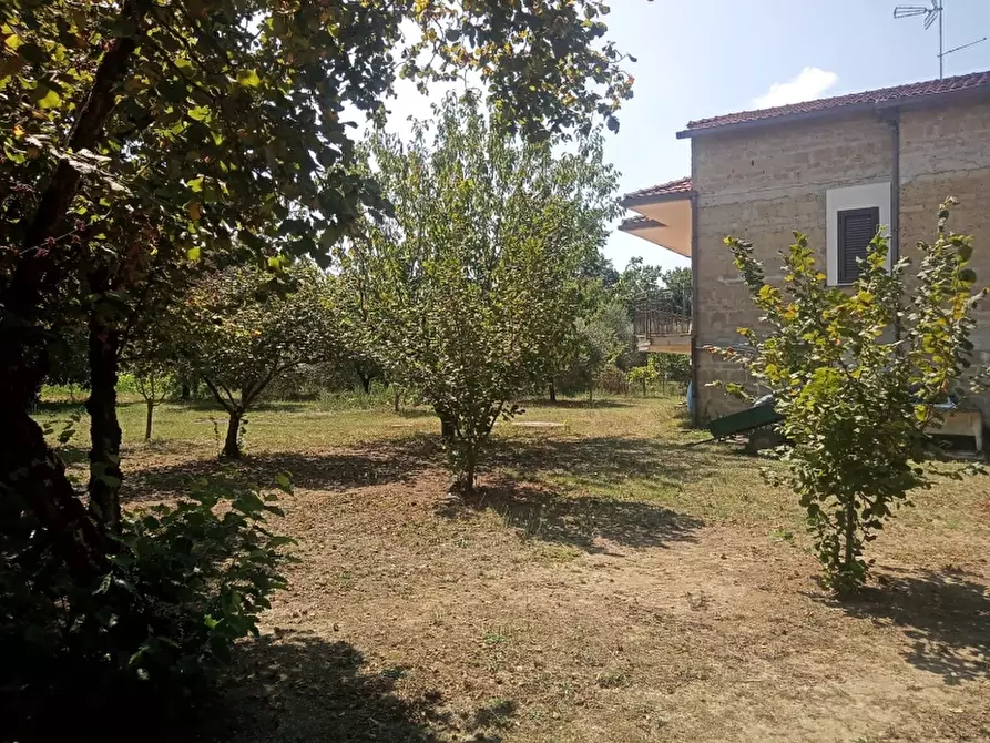 Immagine 34 di Casa indipendente in vendita  a Caianello