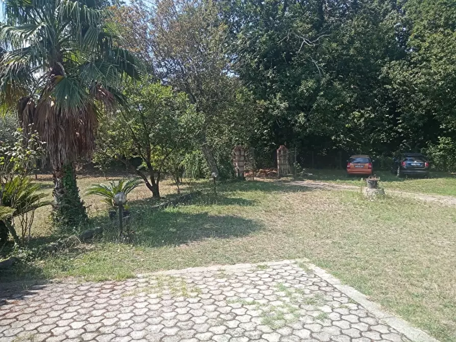 Immagine 5 di Casa indipendente in vendita  a Caianello