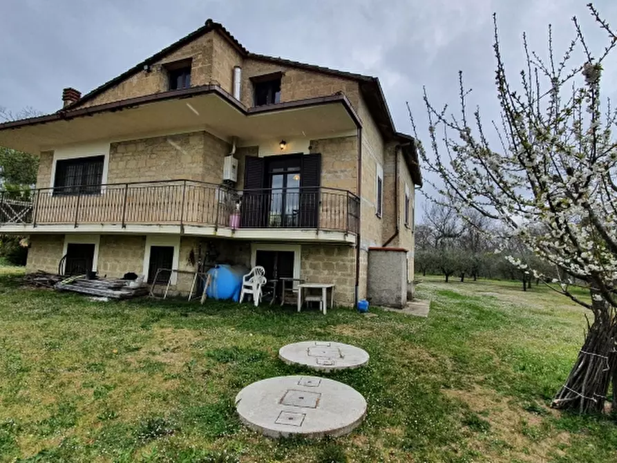Immagine 12 di Casa indipendente in vendita  a Caianello