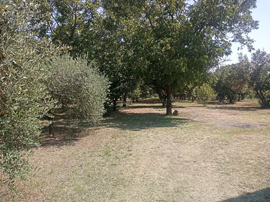 Immagine 7 di Casa indipendente in vendita  a Caianello