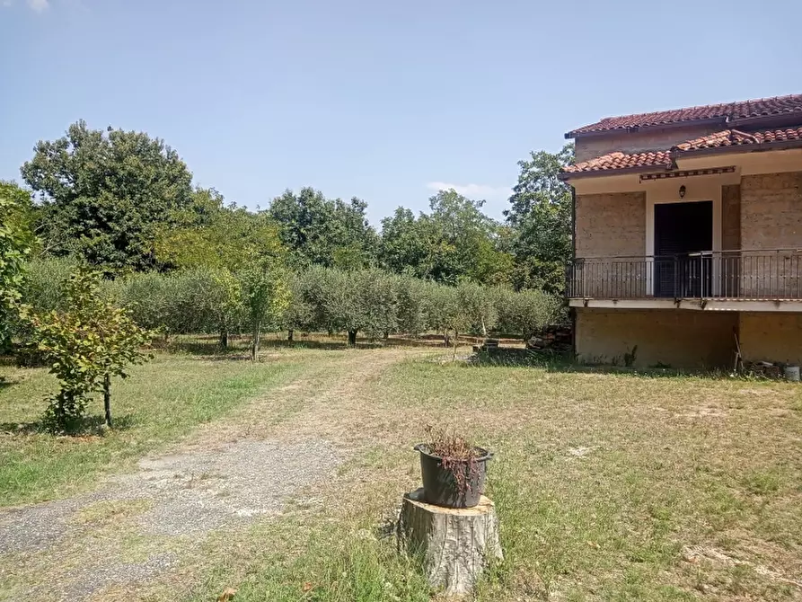 Immagine 8 di Casa indipendente in vendita  a Caianello