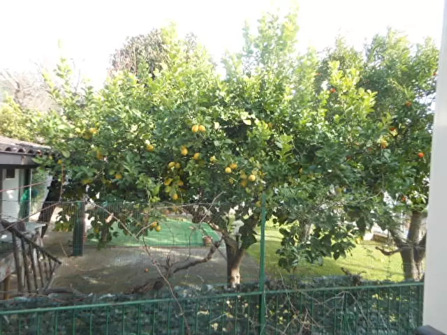 Immagine 17 di Casa indipendente in vendita  in VIA COMUNALE 80 a Presenzano