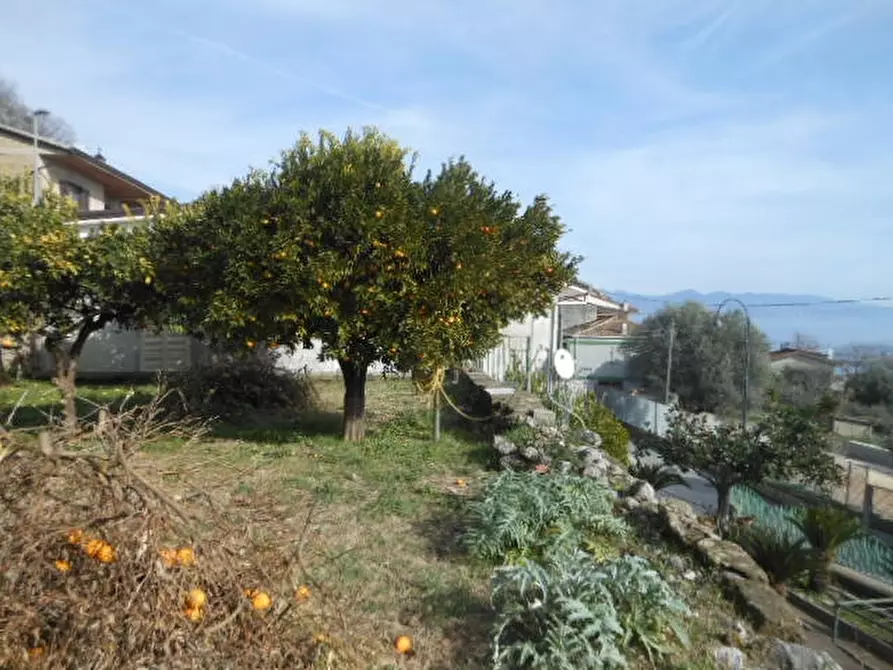 Immagine 29 di Casa indipendente in vendita  in VIA COMUNALE 80 a Presenzano