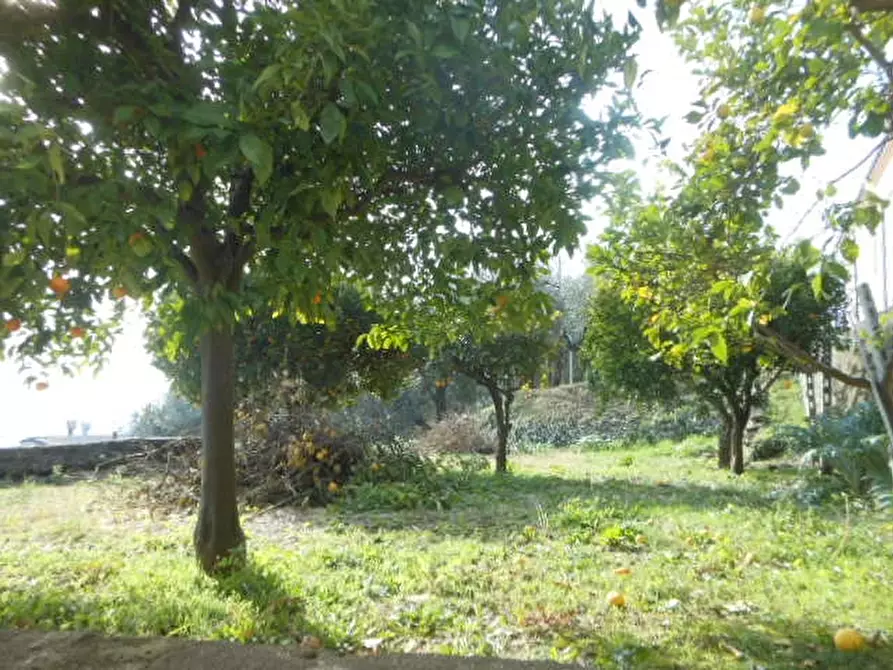 Immagine 10 di Casa indipendente in vendita  in VIA COMUNALE 80 a Presenzano