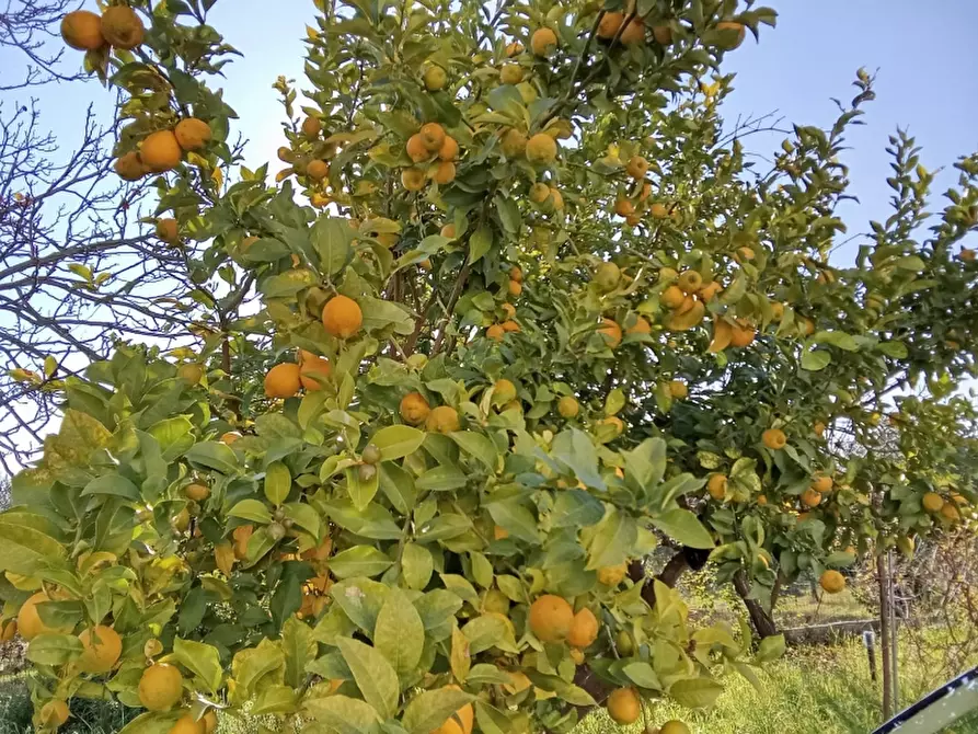 Immagine 16 di Casa indipendente in vendita  a Sant'angelo D'alife