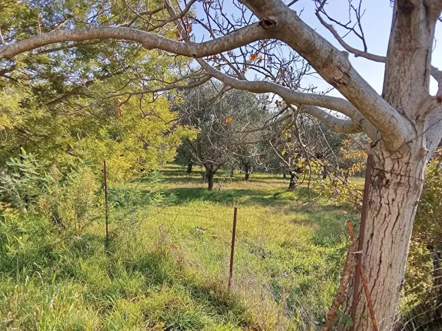 Immagine 17 di Casa indipendente in vendita  a Sant'angelo D'alife