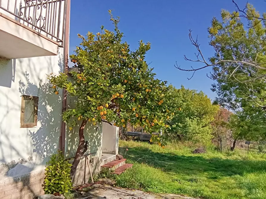 Immagine 18 di Casa indipendente in vendita  a Sant'angelo D'alife